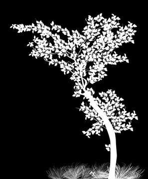 young white isolated tree illustration