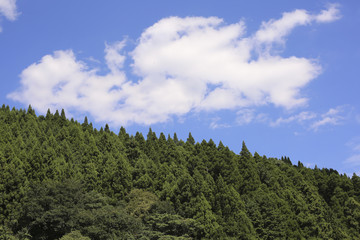山と森と空