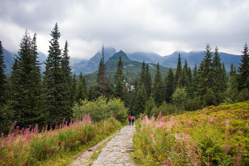 Fototapeta na wymiar Way in the Tatra mountains