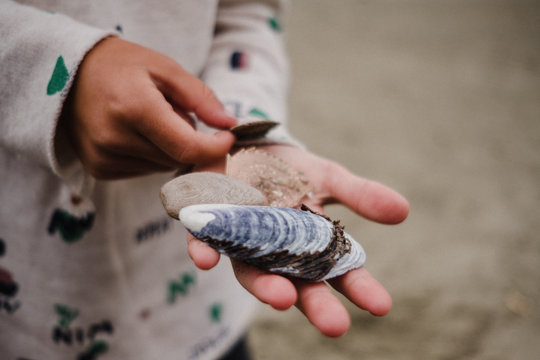 Girl with handful of sea shells