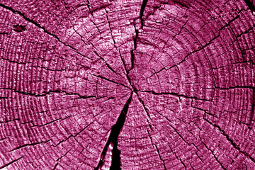 Old log cut macro in pink tone.