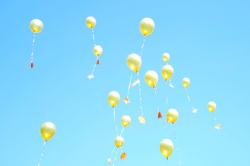 ballons in the sky