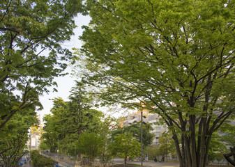 渋谷駅近くにある宮下公園（東京都渋谷区）