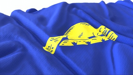 3d render, Realistic Wavy Flag of Oregon (reverse) .