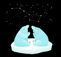 Fototapeta premium Constellation of the great bear and polar bears looking.