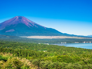 Fototapeta premium 山中湖畔から眺める富士山