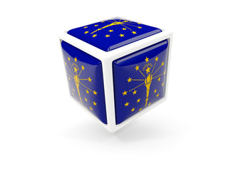 indiana state flag in cube icon. United states local flags