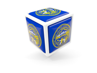 nebraska state flag in cube icon. United states local flags