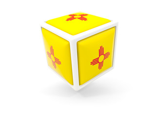 new mexico state flag in cube icon. United states local flags