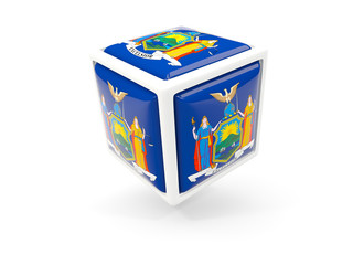new york state flag in cube icon. United states local flags