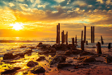 Fototapety na wymiar - Fototapeta24.pl