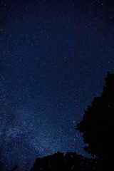 Fototapeta na wymiar Infinite space full of stars in high resolution. Shining stars in the sky at night.