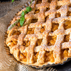 Tasty Apple pie with lattice upper crust