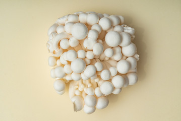 White Enoki Mushrooms