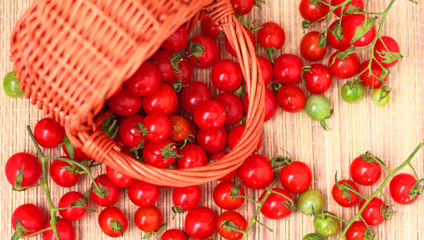 cherry tomatoes in a basket