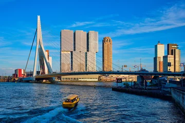 Foto op Plexiglas Erasmusbrug Rotterdam stadsgezicht, Nederland