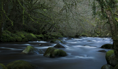River on Dartmoor