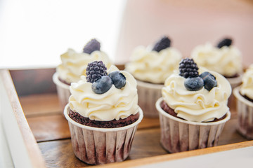 a concept of baking sweet cupcakes and muffins at home