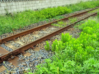 夏草と線路とブロック塀