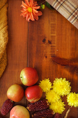 autumn concept with fresh vegetables