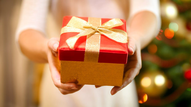 Closeup image of young woman with Christmas gift box standing in living room