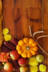 autumn concept with fresh vegetables