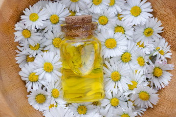 a bottle of chamomile oil with fresh chamomile flowers