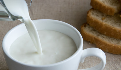 Pouring milk into a large white cup on the background of bread.