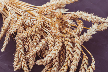 Layout of autumn harvest. Wheat  on a black background.