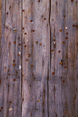 Wood Panel with rusty pins