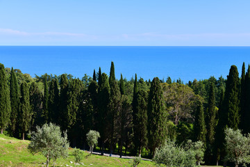 nature in an Abkhazia near New Athos