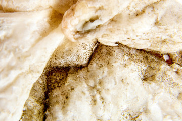 Dangerous food. Old spoiled cookie covered with green mold. Selective focus