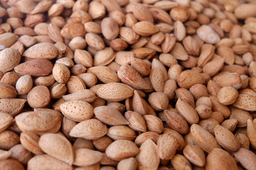 Heap whole almonds in shell sell in a nuts and dried fruits shop.