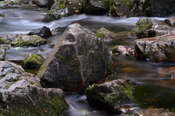 pause longue sur l'eau, eau rafraichissante d'un ruisseau, Vosges, France