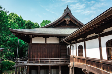 Traditional Japanese wooden pagoda in Ueno Park during bright sunny day with forest in the...