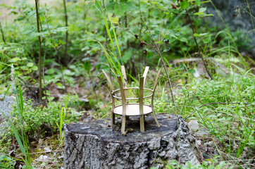 Obraz premium Decoration in nature