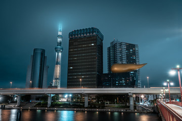 View of Tokyo cityscape with business buildings and Tokyo Skytree  in background and river in the foreground during night, Tokyo, Japan