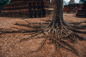 Travel to the Lost Kingdom of Ayutthaya