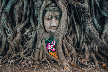 Travel to the Lost Kingdom of Ayutthaya