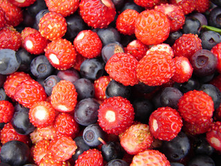 Wild blueberry and a wild strawberry background