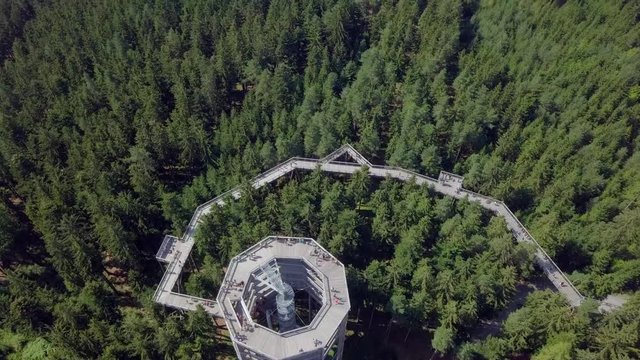 Treetop walkway and observation tower, overlooking Lake Lipno and South Bohemia 