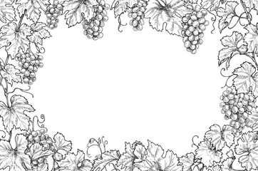Monochrome Grape Branches Horizontal Frame