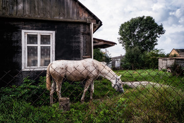 Miasteczko Tykocin © podlaski49