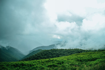 The summer green Carpathian mountains in Ukraine. The sky is over the mountains. Atmospheric landscapes while traveling on a jeep. Offroad expedition