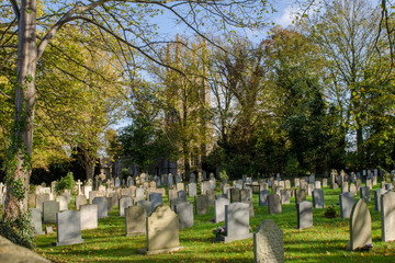 Sunny graveyard with many head stones