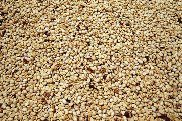 Raw coffee beans background