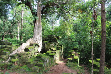 Old waterway in the jungle of Cambodia