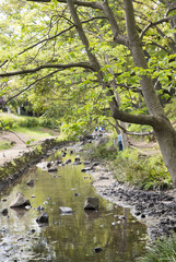 井の頭公園から流れ出る神田川の源流（東京都三鷹市・武蔵野市）