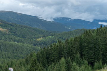 Wald auf dem Katschberg