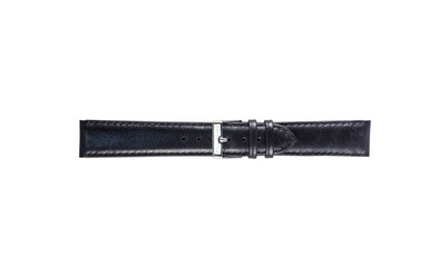 The watchstrap isolated